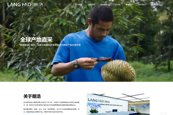 鮮通全球 品質(zhì)致遠(yuǎn)｜成都億速科技定制化打造朗浩集團(tuán)品牌官網(wǎng)